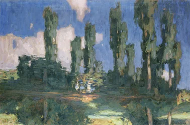 Poplars by Water